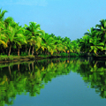 Kerala Backwaters