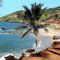 Image Beaches of Goa