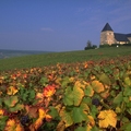 Vineyard areas in France