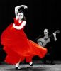 Flamenco moves
