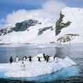 Image Antarctica - The most extreme holiday destinations
