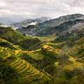 Image Banaue Rice Terraces in Philippines