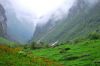 picture Beautiful landscape Valley of Flowers in the Himalayas, India