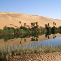 Ubari Oasis in Libya