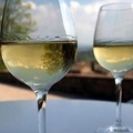 Image San Gimignano Wine Tour - The best wine tour itineraries in Tuscany