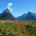 Image New Zealand - The best adventure destinations in the world