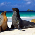 Image Galapagos Islands - The most spectacular places in America