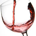 Image Teroldego Rotaliano wine