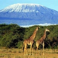 Image Kilimanjaro - The most spectacular places in Africa
