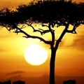 Image The best cruise destinations in Africa - The most exciting cruise destinations around the world