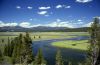 Yellowstone view
