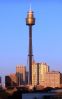 picture Overview Sydney Tower