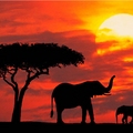 Image Kenya - Best destinations for thrill seekers