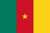 picture Flag of Cameroon Cameroon