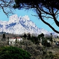 Image The Mount Ai Petri - The most amazing places in Crimea