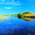 Image Danube Delta