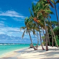 Image Barbados in Caribbean