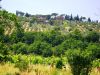 Greve in Chianti landscape