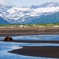 Image Katmai National Park and Preserve - The best places to visit in Alaska, USA