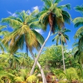 Image The Seychelles Islands- tropical romantic destination  