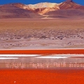 Laguna Colorada