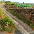 Image Calle Monroy Street - The Steepest Roads in the World