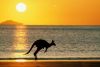 picture Kangaroo Perth