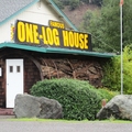 Image The One Log House - The Most Bizarre Houses in the World