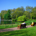 Image St. James's Park - The best places to visit in London, United Kingdom