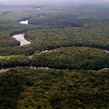 The Congo River