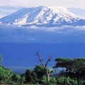 Image Mountain Kilimanjaro