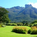 Kirstenbosch Botanical Garden