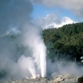  Prince of Wales Feathers Geyser, New Zealand