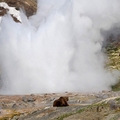 The Giant Geyser, Kamchatka