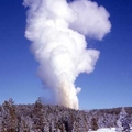 The Steamboat Geyser, Yellowstone National Park, U.S.A