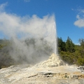 Image  Lady Knox Geyser, New Zealand