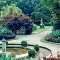 Image The Royal Botanic Gardens Sydney - The Most Beautiful Botanical Gardens in the World