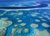 The largest coral reef in the world.