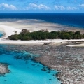 Image The Coral Sea - The Most Beautiful Seas in the World