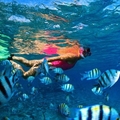 Image The Red Sea - The Most Beautiful Seas in the World