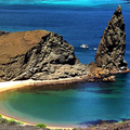 The Galapagos Islands