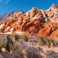 Image Red Rock Canyon in Nevada, USA - The most beautiful canyons in the world