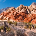 Red Rock Canyon in Nevada, USA