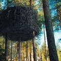Image Tree hotel, Sweden
