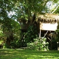 Image The Parrot Nest Hotel, Belize - The Most Unusual Hotels in Trees in the World