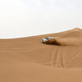 The Arabian Desert 