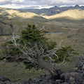 The Patagonia Desert