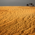 Image The Great Basin Desert - The Largest Deserts in the World