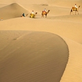 Image The Thar Desert  - The Largest Deserts in the World