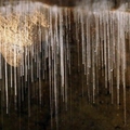 Image Waitomo Cave, New Zealand